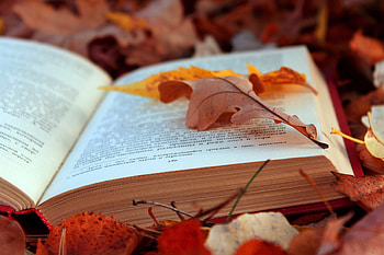 Autumn, Leaves, Miscellanea, Miscellaneous, Text, Foliage, Book, Pages, Page HD wallpaper