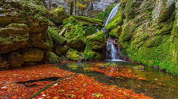Waterfall, leaves, rocks, moss HD wallpaper