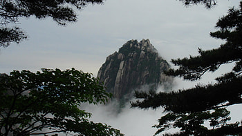wonderous mountain peak, mist, trees, peak, mountain HD wallpaper