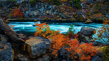 Fall colors in central Oregon, forest, stream, leaves, trees, autumn, usa, stones HD wallpaper