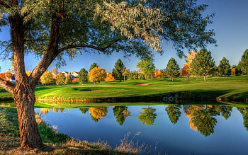 Landscape, Rivers, Trees HD wallpaper