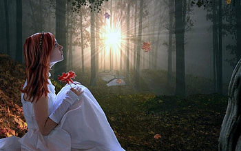 •ღ✿ღ•, fantasy, art, longing, alone HD wallpaper