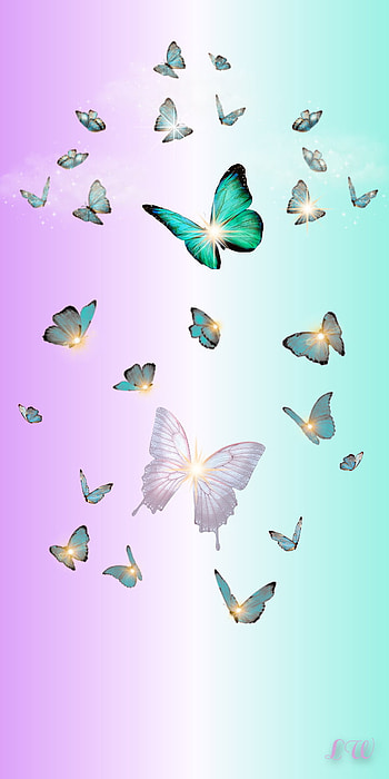 Pastel butterflies, aqua, moths and butterflies, pink HD phone wallpaper