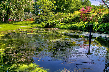 Nature, Leaves, Fountain, Pond, Clear, I See, Column, Bars, Rods HD wallpaper