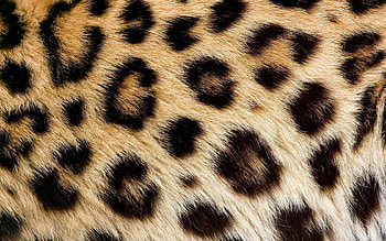 Texture, Abstract HD wallpaper
