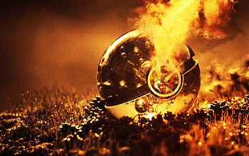 Pokeball - Full search HD wallpaper