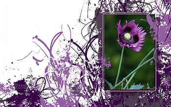 Art floral, flowers, art HD wallpaper