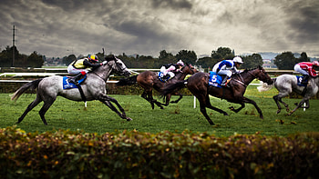 Horse racing, Equestrian Sports HD wallpaper