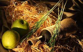 Food, Apples, Vine, Still Life HD wallpaper