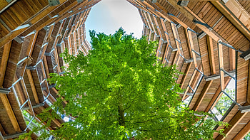 Treetop Walk Natural Heritage Center Rügen in Mecklenburg-West Pomerania, Germany, man made, architecture HD wallpaper