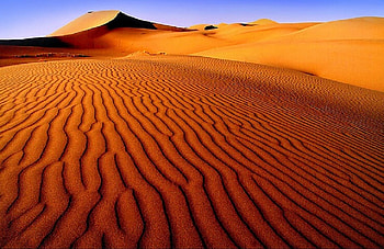 Amid the Dunes, dry, sand, dunes, hot, desert, sky, arid HD wallpaper