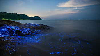 Japanese Islands HD wallpaper