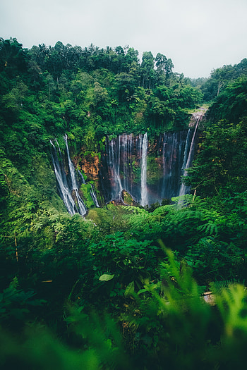 Break, Nature, Trees, Waterfall, Forest, Precipice, Flow HD phone wallpaper