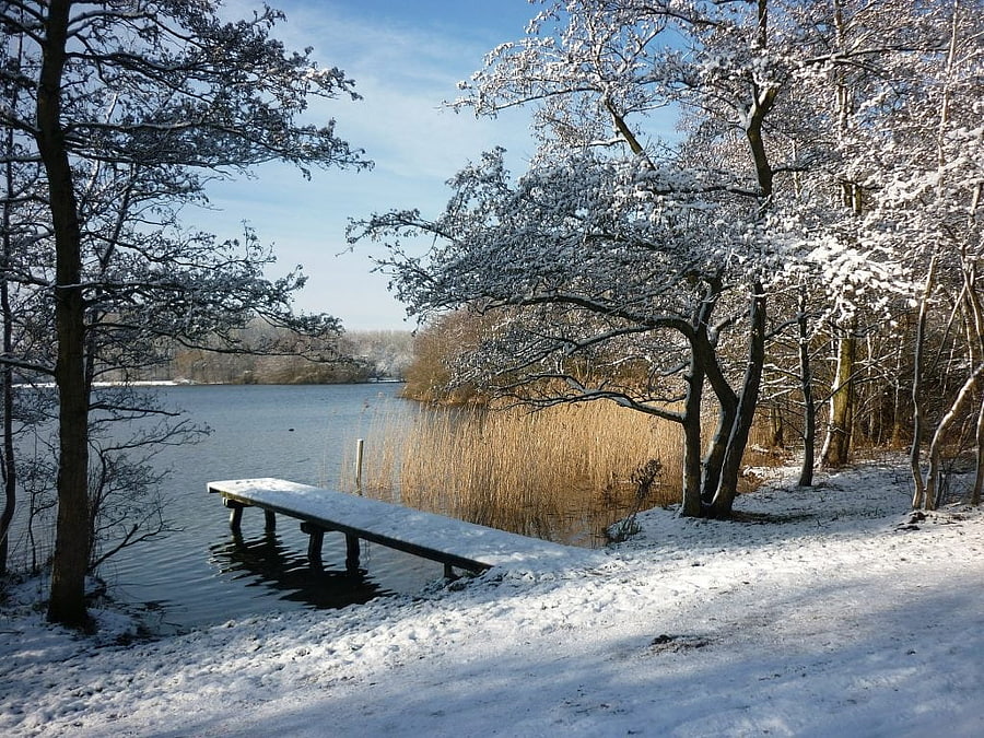 Winter at the River, pier, trees, riverside, snow HD wallpaper