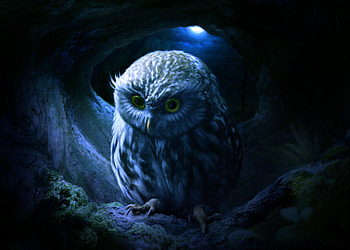 Little owl, blue, night, elena dudina, elenadudina, bird, owl, fantasy, moon, bufnita, luna, luminos, pasari HD wallpaper