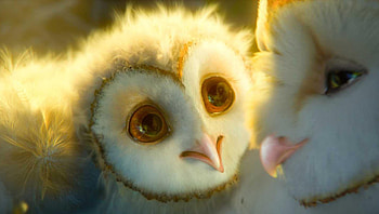 Legend of the Guardians: The Owls of Ga& HD wallpaper