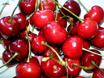 Fruits, Sweet Cherry, Food, Berries HD wallpaper