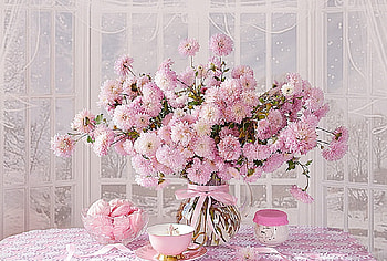 soft, pink, flowers, abstract HD wallpaper