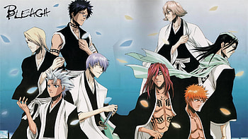 Bleach, gin ichimaru, byakuya kuchiki, ichigo kurosaki, toshiro hitsugaya, shuhei hisagi, anime, renji abarai, kisuke urahara, izuru kira HD wallpaper