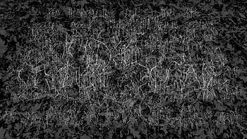 Oak Sign, scripture, dark, poetry, monochrome HD wallpaper