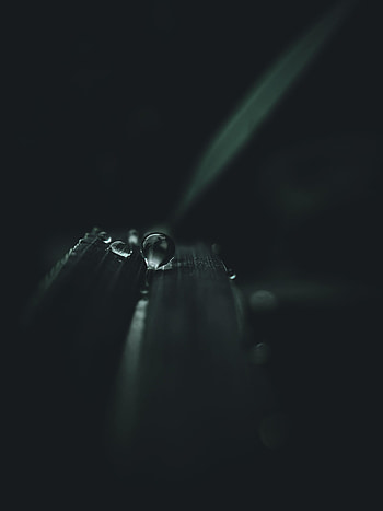 Water, Macro, Dark, Leaf, Sheet, Drop HD phone wallpaper