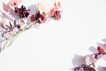 Minimalist flat lay of red and pink flowers on a white backdrop, perfect for romantic or wedding themes. HD wallpaper