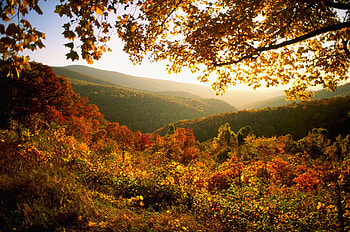Virginia, , Backgrounds HD wallpaper