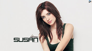 susan-coffey, amit, omdave, matu, hrdave HD wallpaper