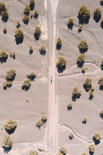 Aerial shot capturing desert terrain with scattered trees and a central pathway. HD phone wallpaper