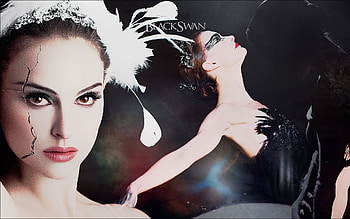 Black swan movie, Intriguing storyline, Gripping narrative, Masterful direction HD wallpaper