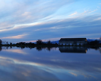 reflections, night, blue, nature, lake HD wallpaper