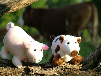 Calf and Piglet, cow, abstract, farmyard, piglet, tree HD wallpaper