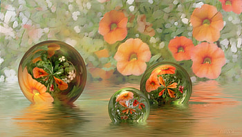 bubbly flowers, bloemen, flowers, bubbly, bellen HD wallpaper