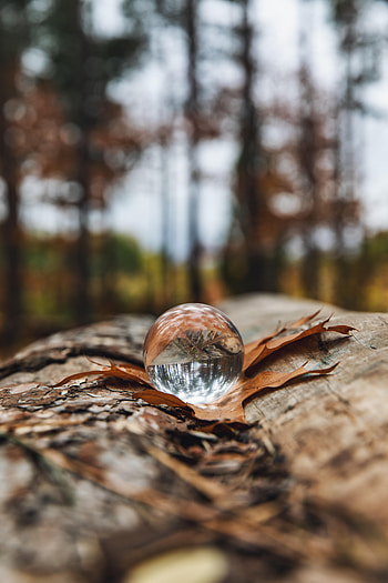 Autumn, Reflection, Miscellanea, Miscellaneous, Ball, Leaflet, Crystal Ball HD phone wallpaper