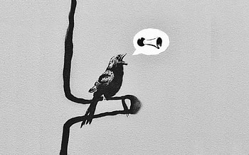 Banksy Woodpecker, woodpecker, bird, art, graffiti, banksy, tree HD wallpaper