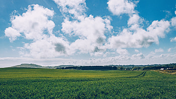 grass clouds field , U TV, Sky backdrop, Serene scenery HD wallpaper