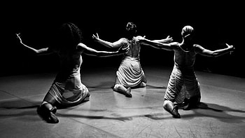 Up2Dance project, Contemporary Dance HD wallpaper
