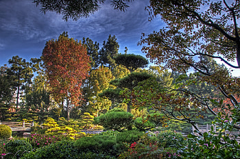 Nature, Trees, Garden, China, Assorted, Arboretum HD wallpaper