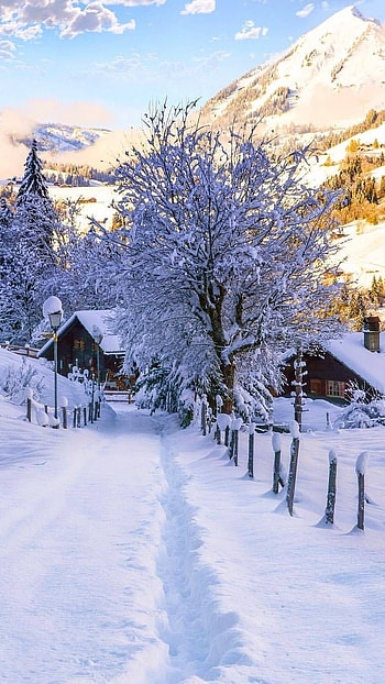 Winter, White Ice Snow HD phone wallpaper