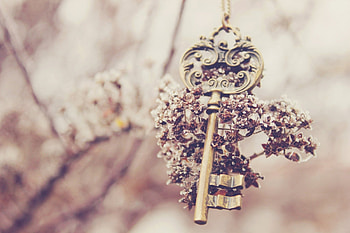 Flowers, Miscellanea, Miscellaneous, Blur, Smooth, Souvenir, Key HD wallpaper