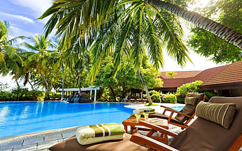 Paradise Resort, tropic, holidays, graphy, palm, tropical, towels, vacation, beach, season, abstract, trees, swimming pool, , water, sun, palm trees, sunshine, palms, swimming, bungalow, paradise, bushes, sunlounger, summer, SkyPhoenixX1, sun chair, clouds, pool, sky, resort HD wallpaper