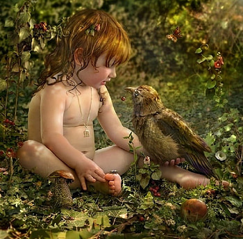 In the Secret Garden, bird, garden, berries, leaves, fantasy, abstract, apple, flowers, child HD wallpaper