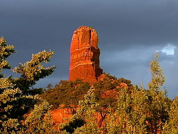 Standing Tall, sky, canyon, rock, tree HD wallpaper