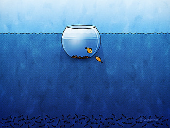 Safe one, , safe HD wallpaper