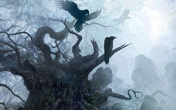 fog, black, birds, darl, tree HD wallpaper