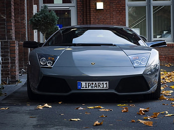 Lamborghini Murcielago, view, lamborghini, front, murcielago HD wallpaper