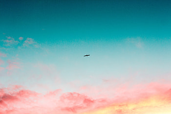 Beautiful Sky Clouds Bird Flying , bird, sky, clouds, flying, nature HD wallpaper