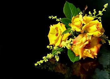 For a thoughtful woman, thank you, bouquet, roses, yellow, green HD wallpaper