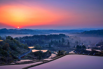 Rice Fields At Sunrise, terraces, beautiful, sunrise, agriculture, dawn, Japan, pools, road, sky, mountains, forest, foggy morning HD wallpaper