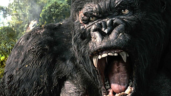 King Kong HD wallpaper